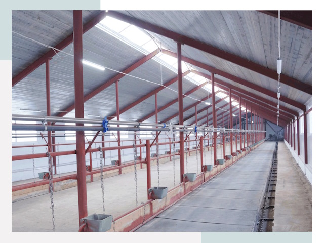 Строительство коровников в Карталах от 626 руб.